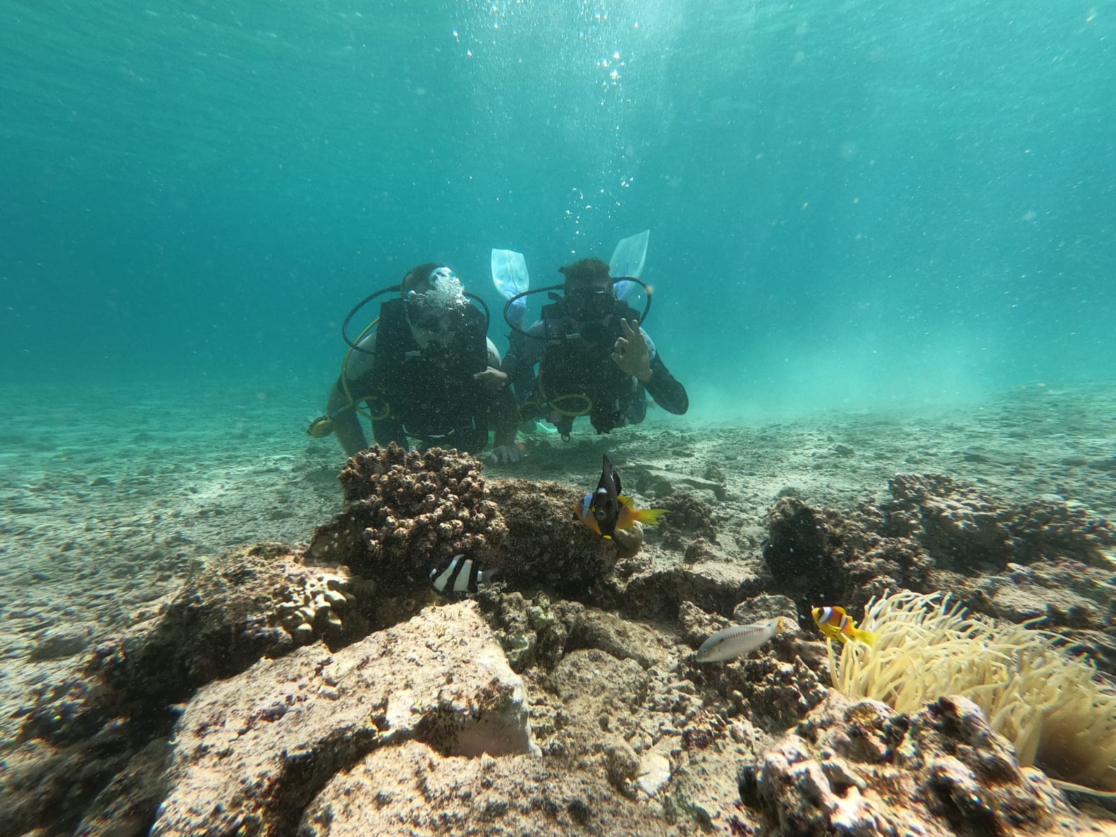 IMG-20220224-WA0022-1